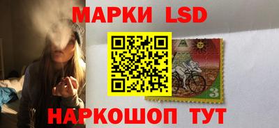 шишки Кандалакша