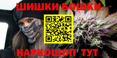 шишки Кандалакша