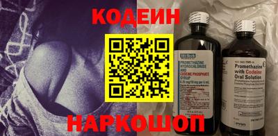 шишки Кандалакша
