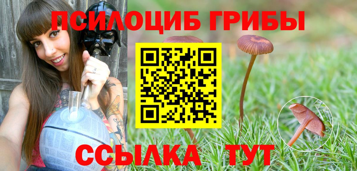 хочу наркоту  Вход с VPN  Кувандык  Псилоцибиновые грибы Magic Shrooms 